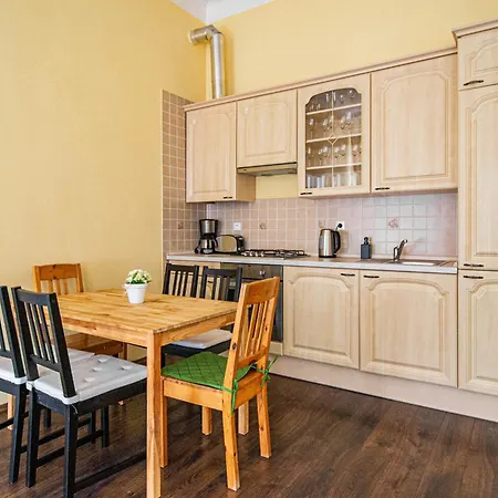 Spacious Oasis In Prague's Heart Apartment